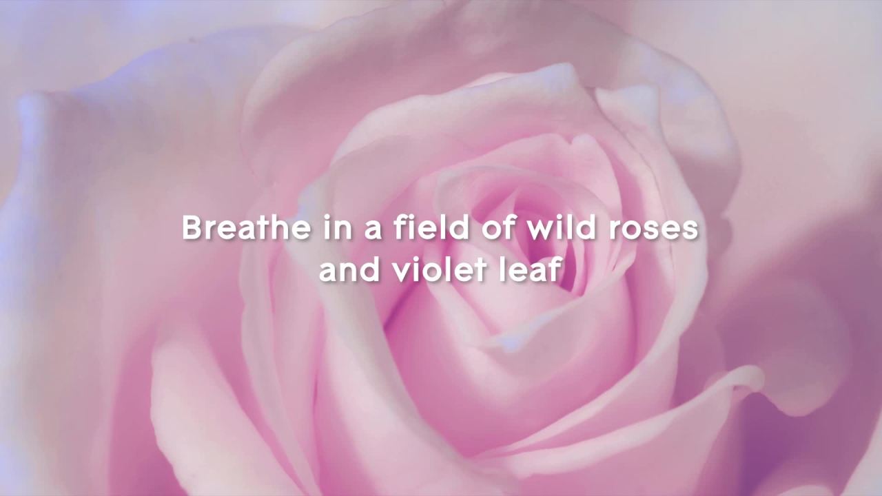 thumbnail video image 2 of Glade Automatic Spray, Sky & Sea Salt, Automatic Air Freshener, 6.2 oz, 2 of 18