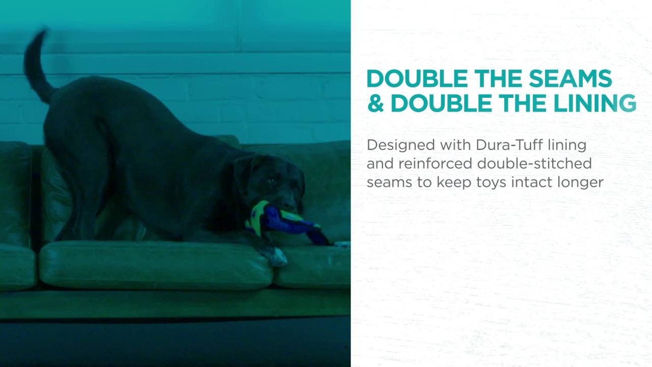 thumbnail video image 2 of Outward Hound Durablez Stuffing-Free Squeaky Interactive Dog Toy, Tough Plush, Gecko, Green, Medium, 2 of 6