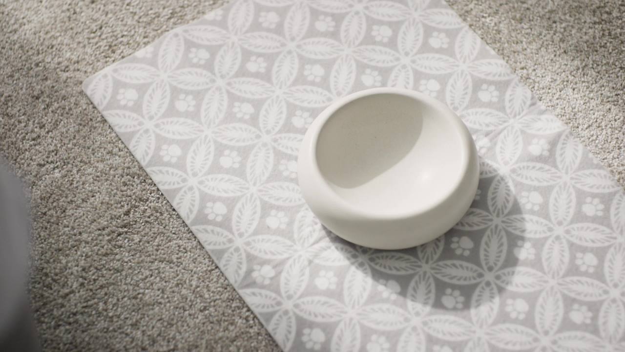 thumbnail video image 2 of Nutrish Puppy Real Chicken & Brown Rice Recipe Whole Health Blend Dry Dog Food, 6 lb. Bag (Rachael Ray), 2 of 13