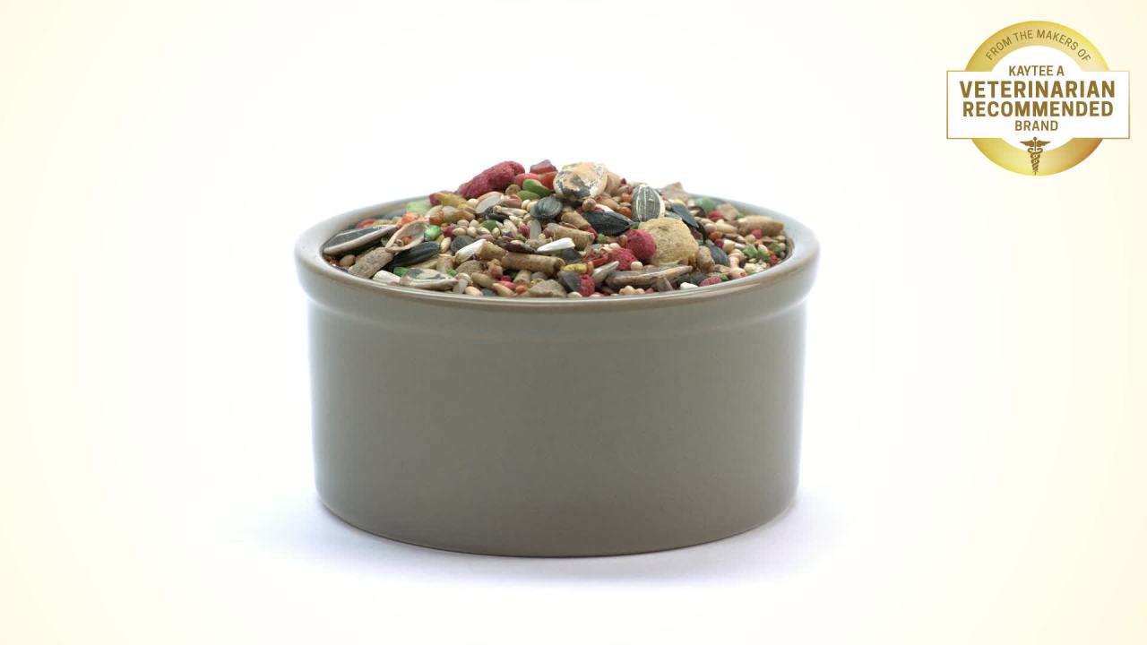 thumbnail video image 2 of Kaytee Fiesta Canary & Finch 2 lb, 2 of 9