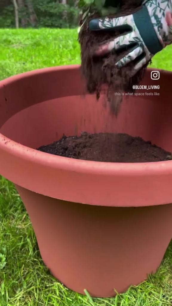 thumbnail video image 2 of Bloem Ups-A-Daisy 18" Round Planter Pot Lift Insert | Soil-Saving, Durable Resin Disk for Bulky Garden Planters and Pots | Drainage Holes, 2 of 11