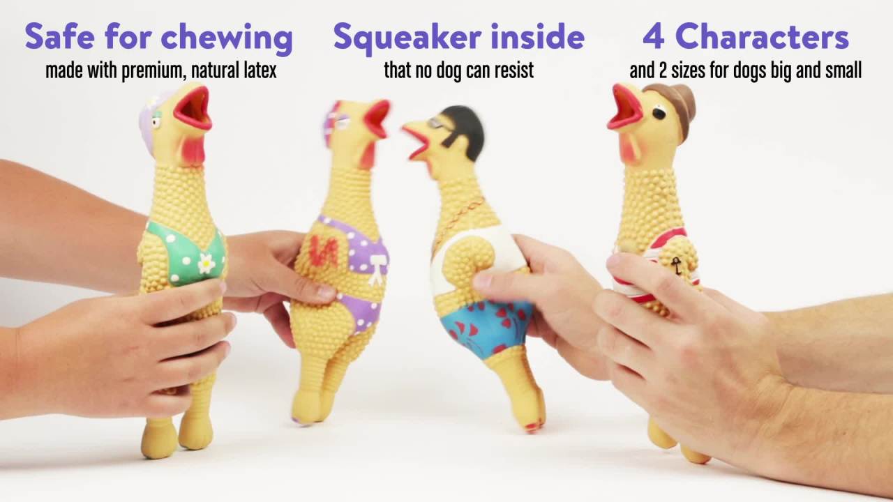 thumbnail video image 2 of Outward Hound by Charming Pet Squawkers Grandma Hippie Chick Latex Rubber Chicken Interactive Dog Toy, Large, 2 of 5