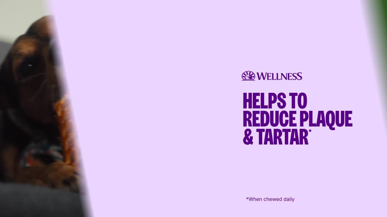 thumbnail video image 2 of Wellness WHIMZEES Stix Dog Dental Treats, Small Size Stick, (28 Count), 2 of 9