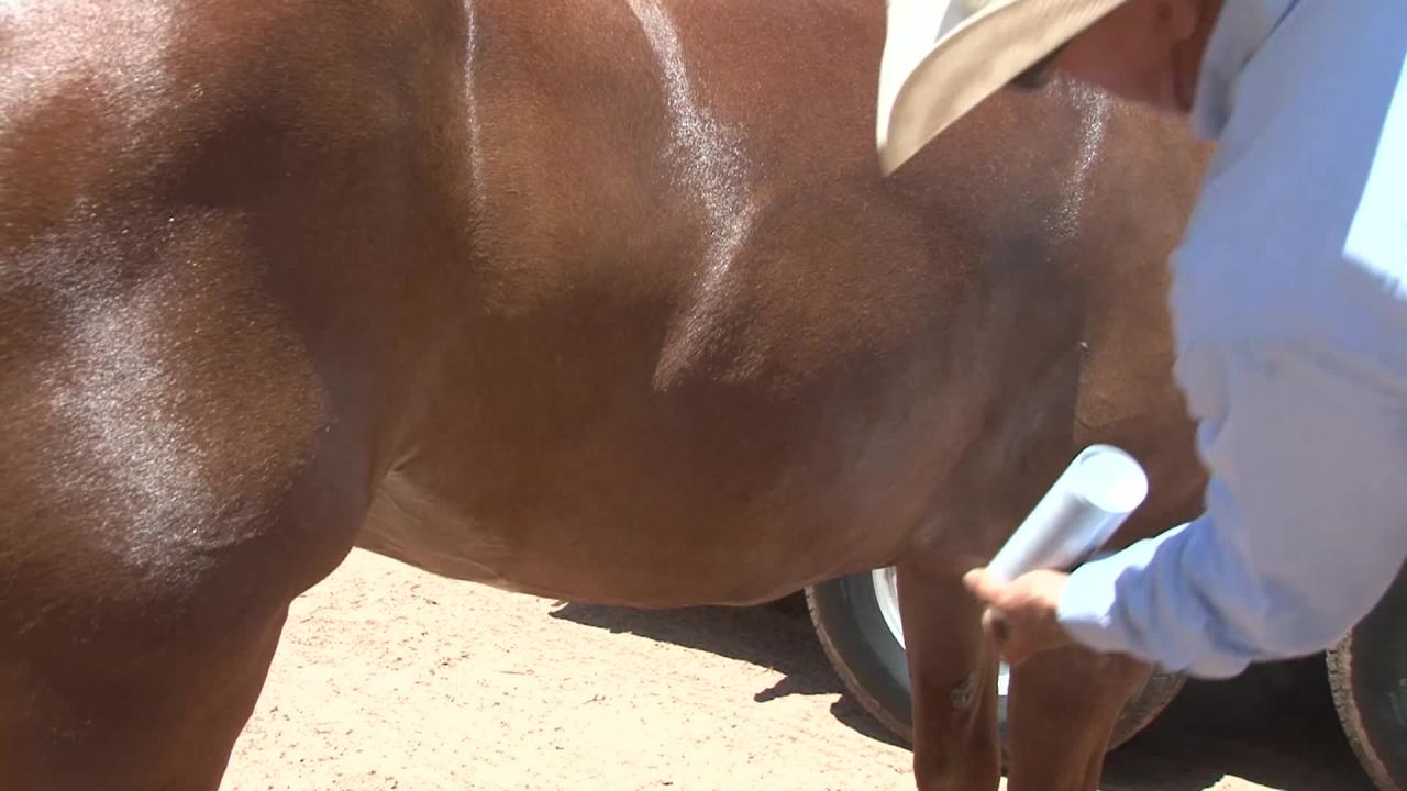 thumbnail video image 2 of Farnam Tri-Tec 14 Fly Repellent for Horses, Kills, Repels, Protects, 32 Ounces, 2 of 10