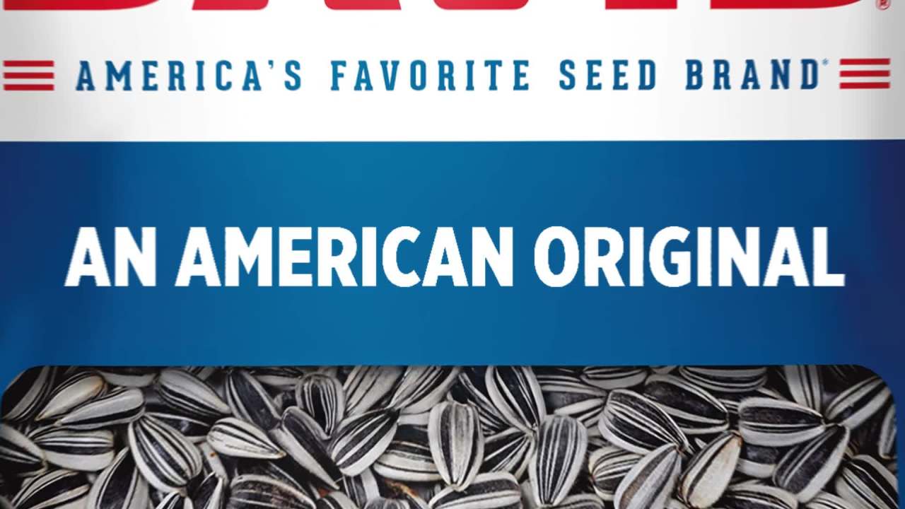 DAVID Jumbo Sunflower Seeds, Original Flavor, 16 oz.