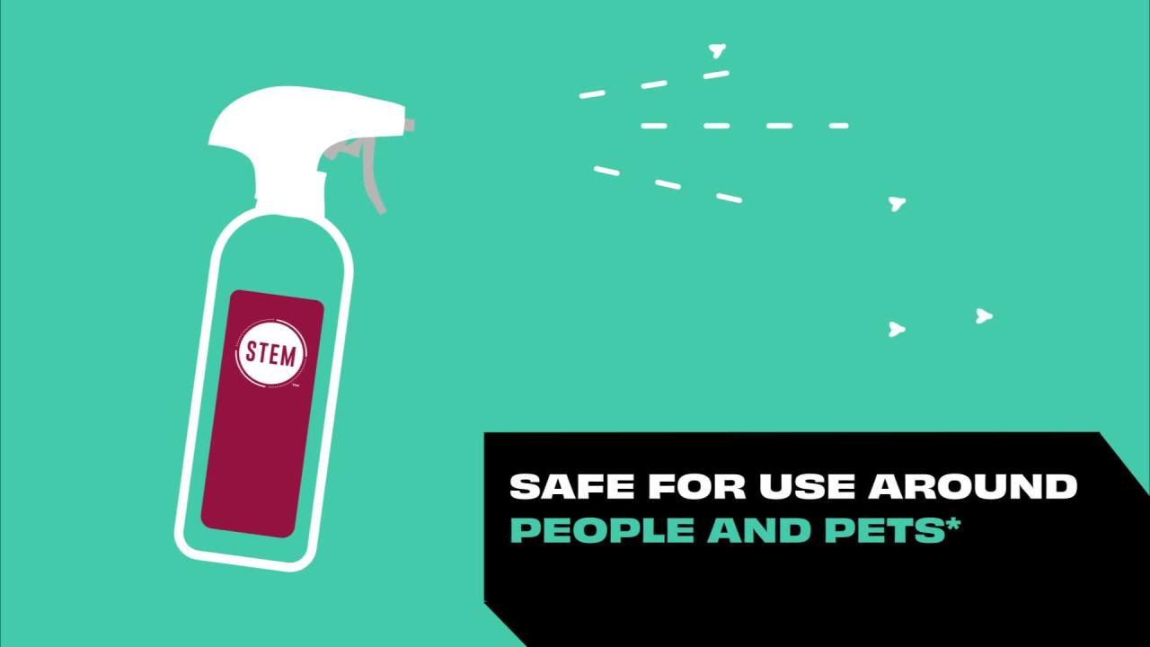 thumbnail video image 2 of STEM Kills Indoor & Outdoor Ants, Roaches & Spider Killer Bug Spray, 17 oz, 2 of 14