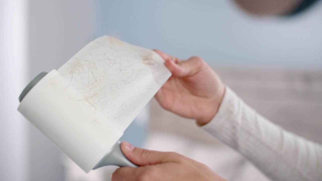 thumbnail video image 2 of (3 pack) Scotch-Brite Extra Sticky Pet Lint roller 90 Sheets per Roll, 2 of 13