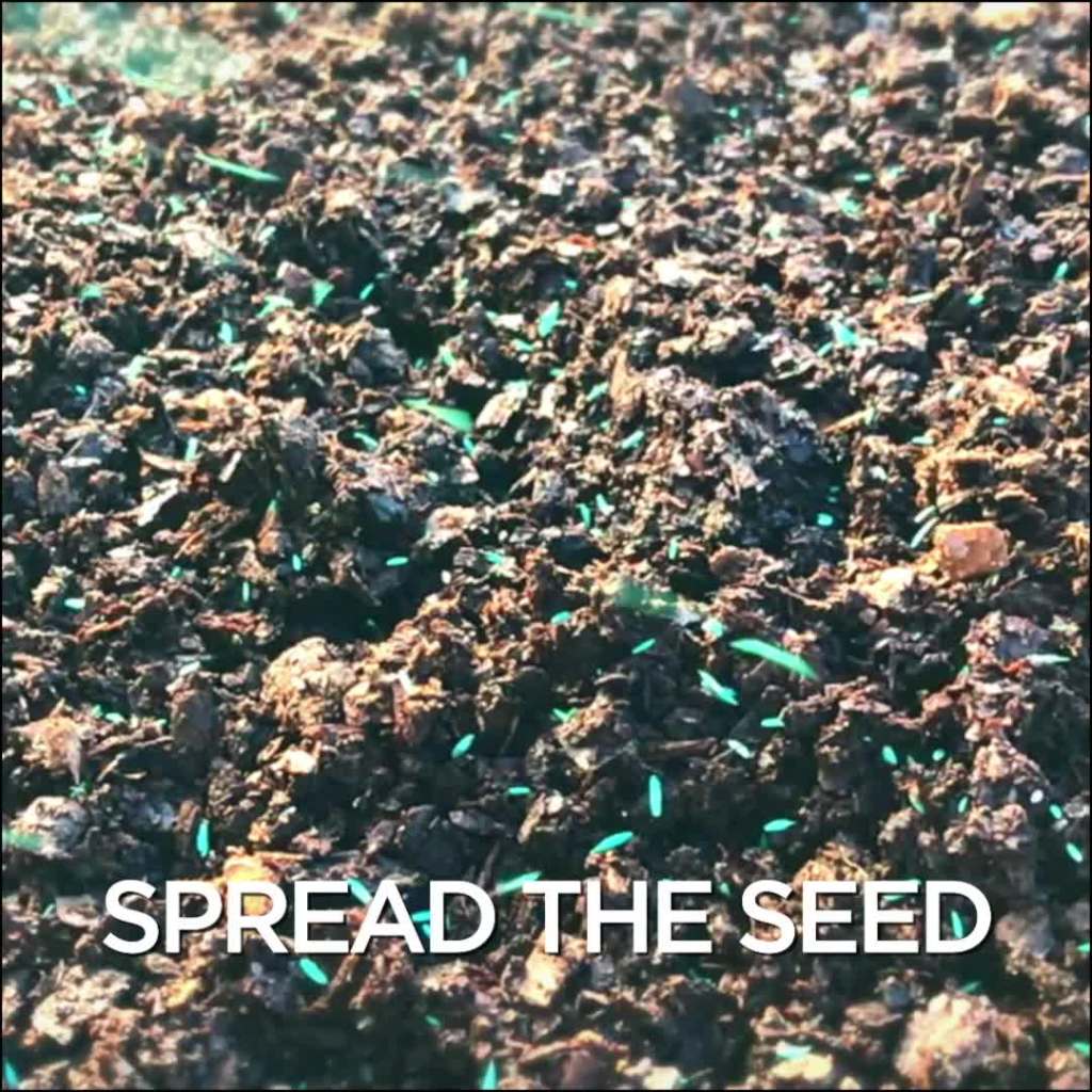 thumbnail video image 2 of Pennington Smart Seed Sun & Shade, 7 lb. bag, 2 of 15