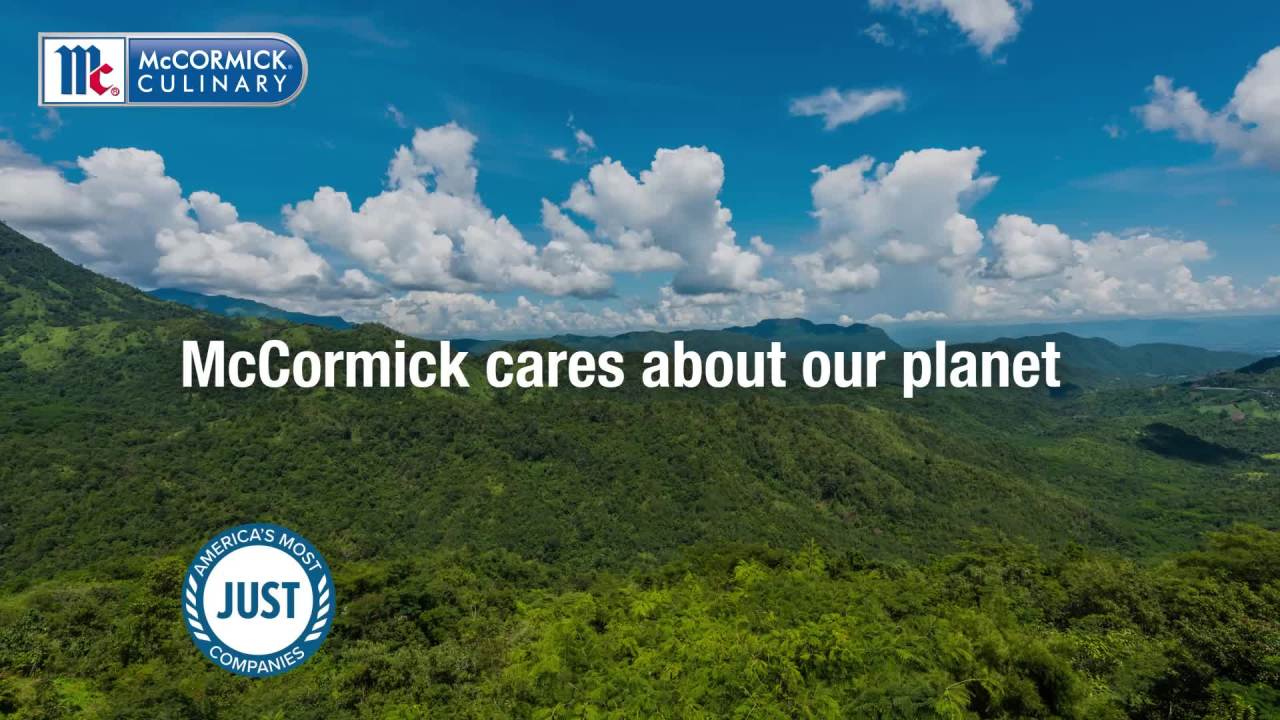 thumbnail video image 2 of McCormick Culinary Kosher Thyme Leaves, 27.5 oz Jug, 2 of 9