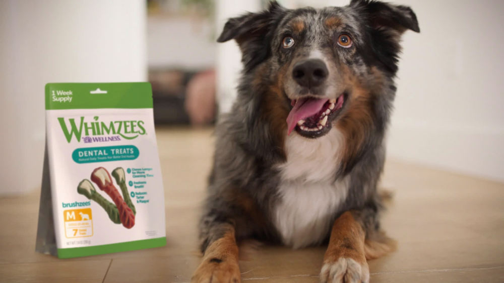 Whimzees Daily Use Pack Puppy Dental Treats for Dogs, Extra Small