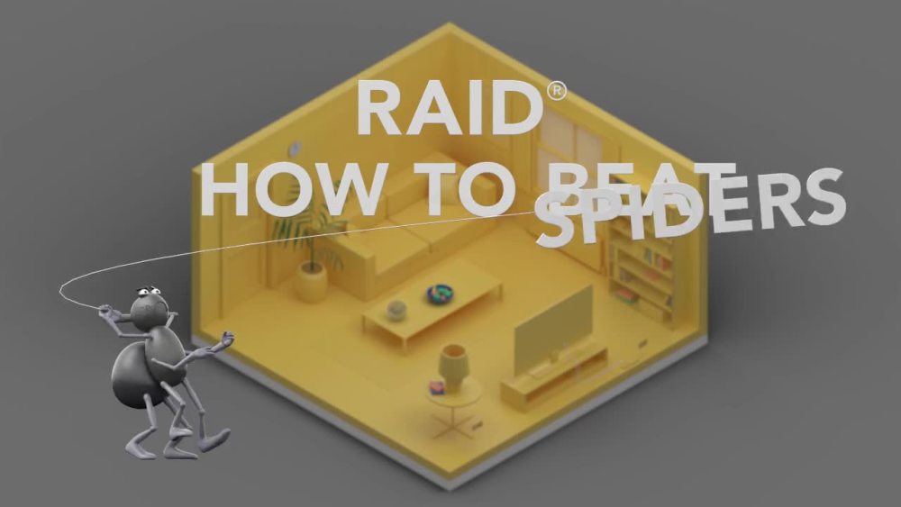 Raid MAX Spider and Scorpion Killer, 12 oz / 340 g, Indoor & Outdoor