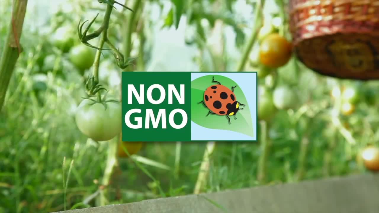 thumbnail video image 2 of Dr. Earth Organic & Natural Home Grown Tomato and Vegetable Food, 4-6-3 Fertilizer, 4 lb., 2 of 5