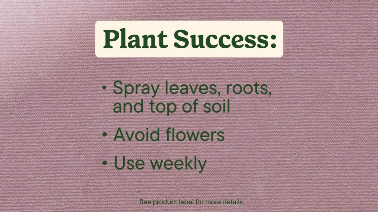 thumbnail video image 2 of Miracle-Gro® Indoor Plant Food Mist for Orchids, Orchid Plant Food, 8 fl. oz., 2 of 11