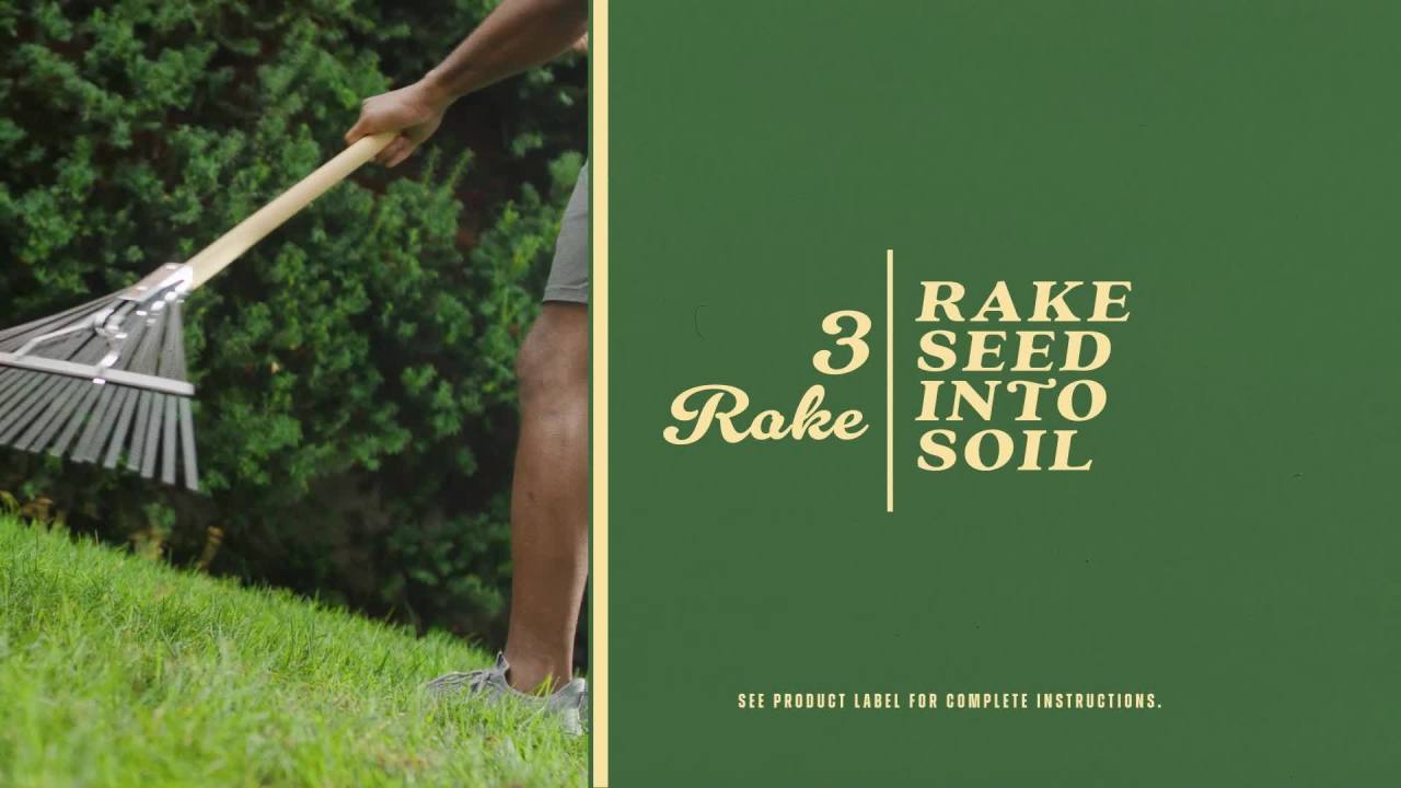 thumbnail video image 3 of O.M. Scott and Sons Tall Fescue Blend Grass Seed, Naturally Crowds Out Weeds, 8 lbs., 3 of 15
