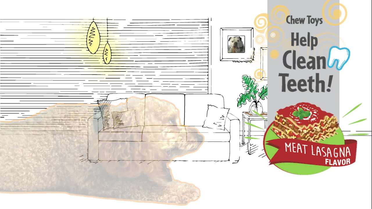 thumbnail video image 2 of Nylabone Flavor Frenzy Strong Chew Toy Dog Toy Pepperoni Pizza X-Large/Souper (1 Count), 2 of 9