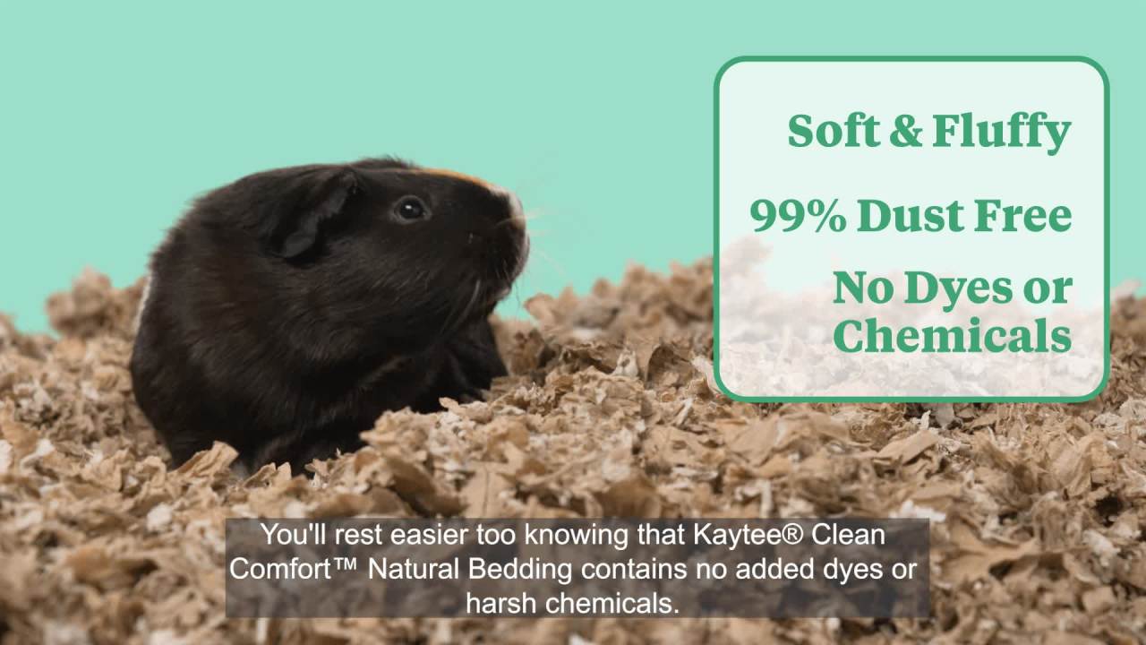 thumbnail video image 2 of Kaytee Forti-Diet Clean Comfort Small Animal Bedding, Natural 72L, 2 of 12
