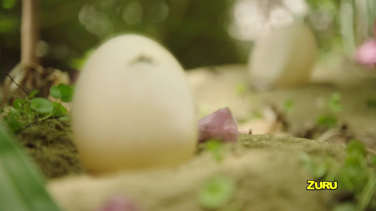 thumbnail video image 2 of XSHOT Dino Attack Ultimate Dino Attack Combo (2x Blasters, 48 Darts, 6 Eggs) by ZURU), For Ages 8+, 2 of 10