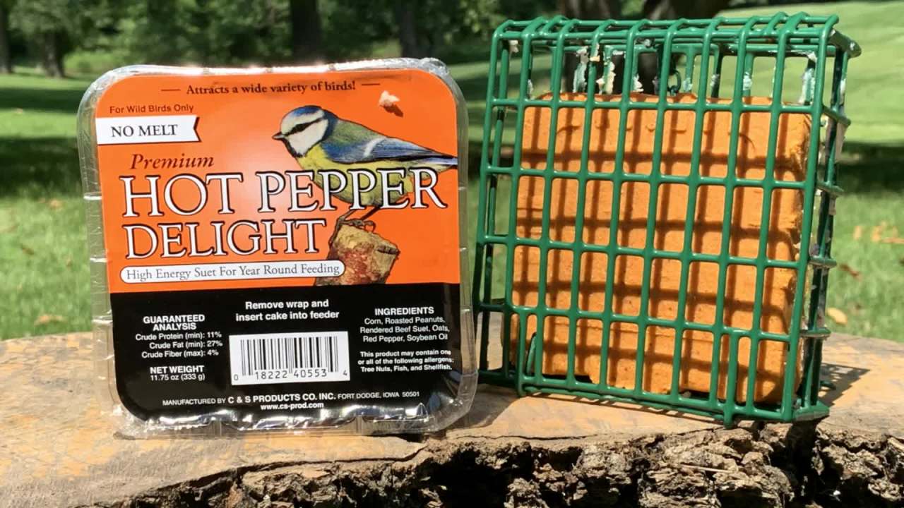 thumbnail video image 2 of C&S Hot Pepper No Melt Suet Dough, 11.75 oz, Wild Bird Suet, 2 of 12