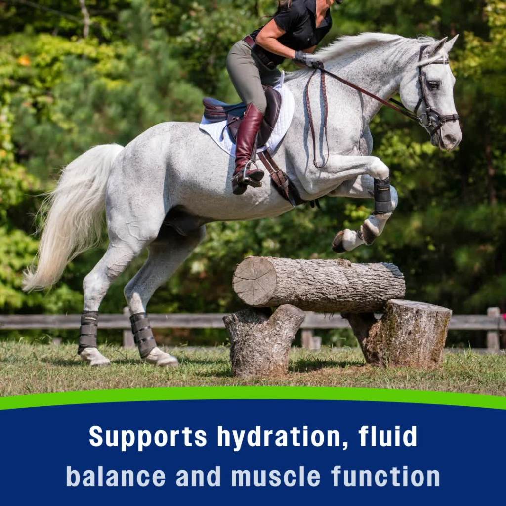 thumbnail video image 2 of Farnam Apple Elite Electrolyte Powder 5 pounds, 40 Day Supply, 2 of 15