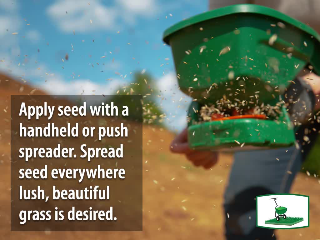 thumbnail video image 2 of Expert Gardener Sun & Shade Southern Grass Seed Mix, for Sun to Partial Shade, 7 lb., 2 of 12