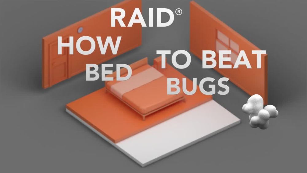 Raid Bed Bug Foaming Spray, Treatment to Kill Pyrethroidresistant Bed