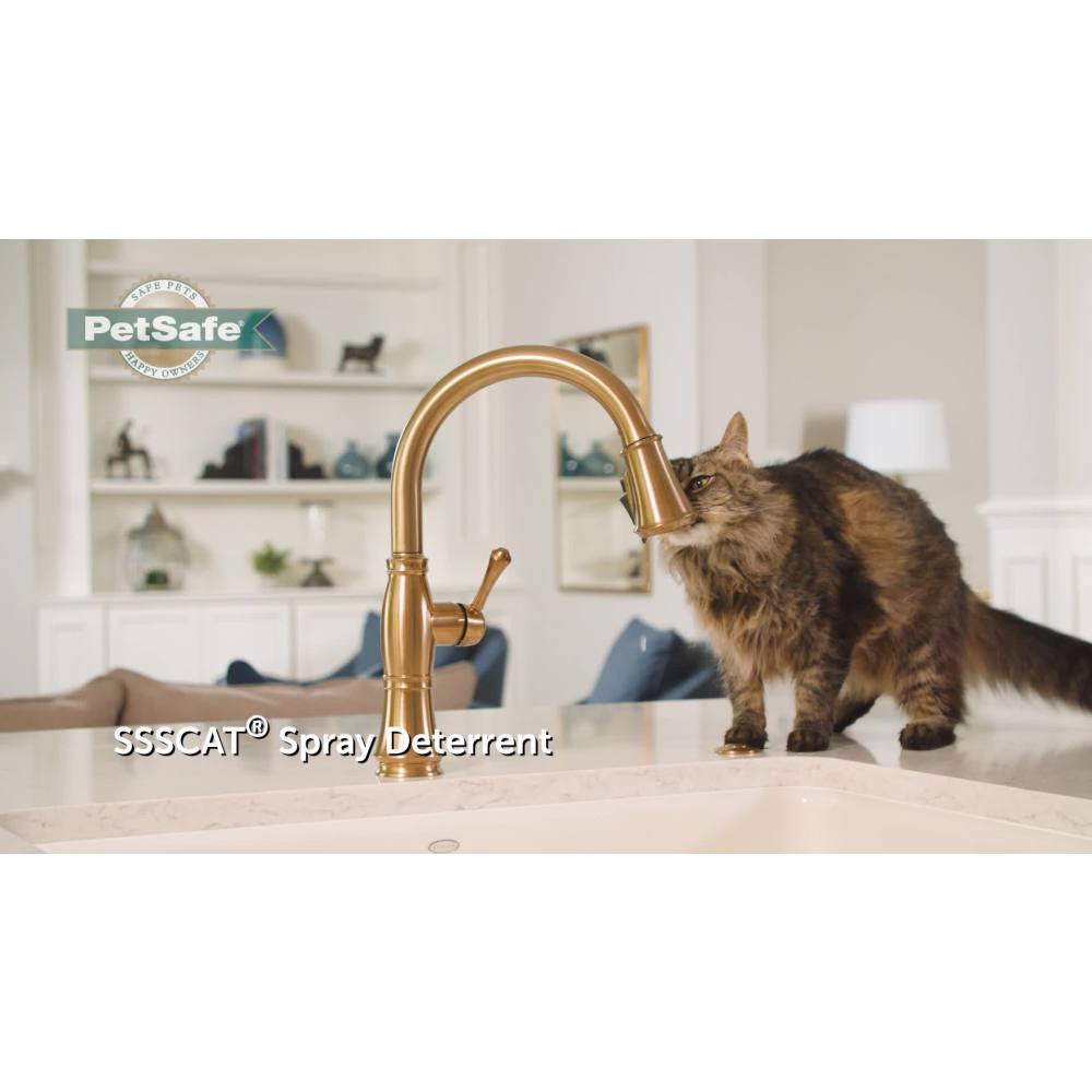 PetSafe SSSCAT Spray Pet Deterrent, Motion Activated Pet Proofing