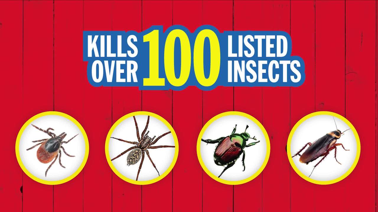 thumbnail video image 2 of Sevin Ready-to-Use Insect Killer Power Sprayer, 1.33 Gallon, 2 of 16