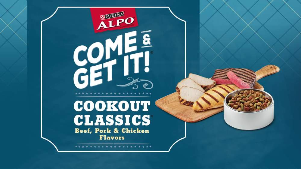 Purina ALPO Come and Get It Cookout Classics Dry Dog Food Adult, 41 lb