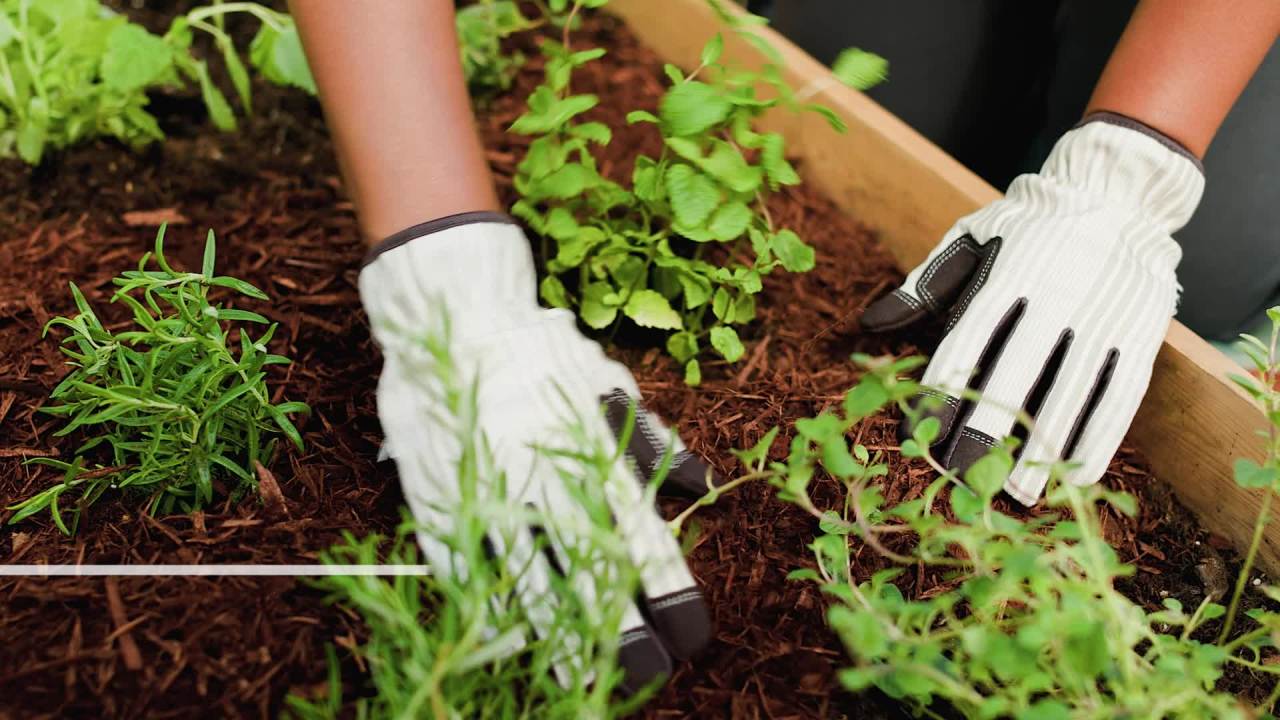 thumbnail video image 2 of Whitney Farms Organic Mulch, All-Purpose Mulch for Use in Garden Beds, 1.5 cu. ft., 2 of 11