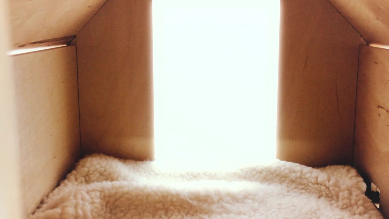 thumbnail video image 2 of K&H Pet Products Thermo Birchwood Manor Kitty Home Heated Real Birchwood 18 X 16 X 15 Inches, 2 of 10