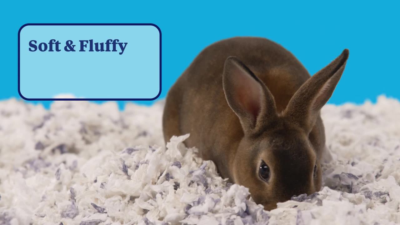 thumbnail video image 2 of Kaytee Forti-Diet Clean Comfort Bedding, Extreme Odor Control Small Animal Bedding, 24.6L, 2 of 7