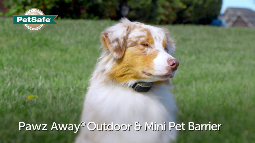 PetSafe Pawz Away Outdoor Barrier for Cats and Dogs, Waterproof, Pet