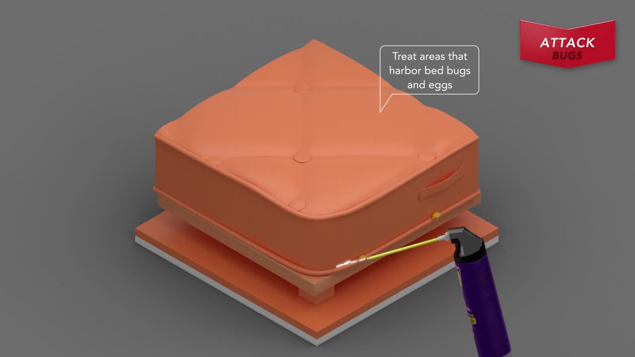 thumbnail video image 2 of Raid Bed Bug Dete Countor & Trap, Inse Count Killer, For Home or Travel, 8 Count, 2 of 12