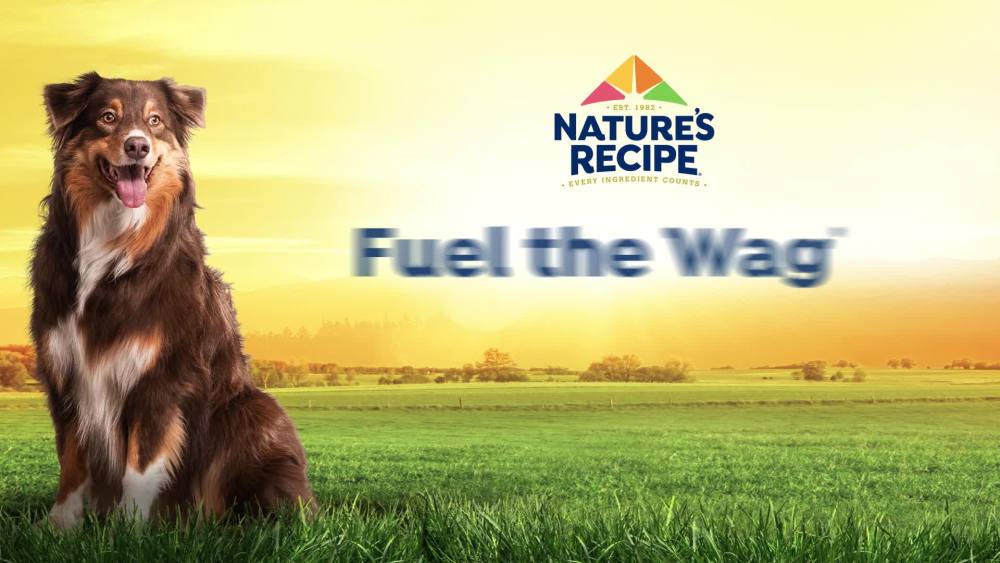 Nature’s Recipe Grain Free Chicken, Sweet Potato & Pumpkin Recipe, Dry Dog Food, 24 lb. Bag - image 2 of 11