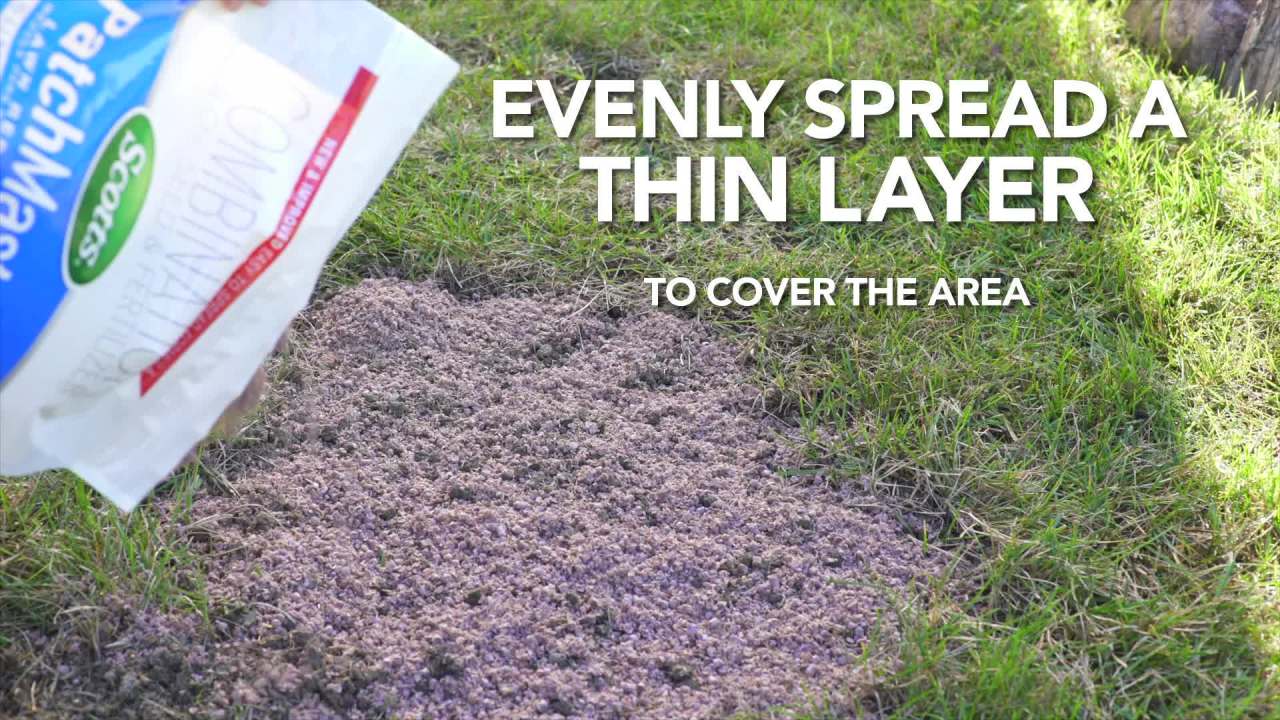 thumbnail video image 2 of Scotts PatchMaster Lawn Repair Mix Sun + Shade Mix, 10 lbs., 2 of 11