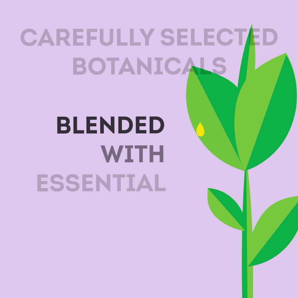 thumbnail video image 2 of Lipton Stress Therapy Supplement Tea Bags Cinnamon, Chamomile, and Lavender 15 Count, 2 of 5