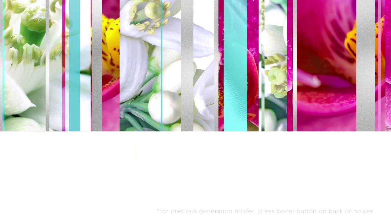 thumbnail video image 2 of Glade Automatic Spray Refill, Air Freshener, Infused with Essential Oils, Orchid & Neroli, 6.2 oz, 2 Count, 2 of 14