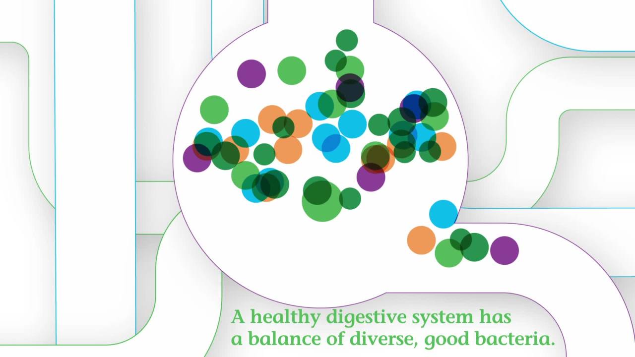 thumbnail video image 2 of Nature's Bounty Ultra Probiotic 10, 60 Capsules, 2 of 10