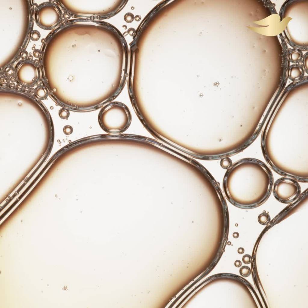 thumbnail video image 2 of Dove Body Love Moisture Boost Daily Use Hyaluronic Acid Women's Body Cleanser, Vanilla, 17.5 fl oz, 2 of 13