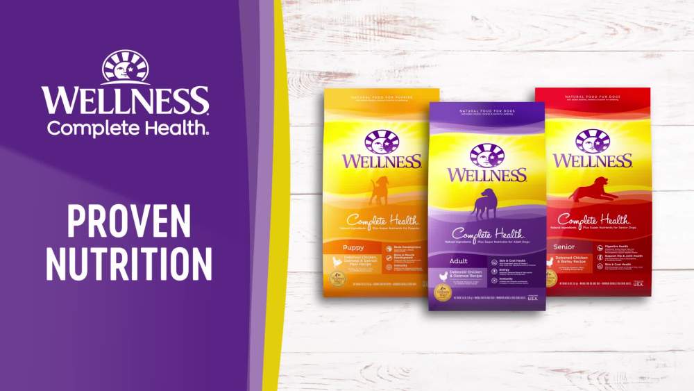 Wellness Complete Health Natural Dry Small Breed Senior Dog Food