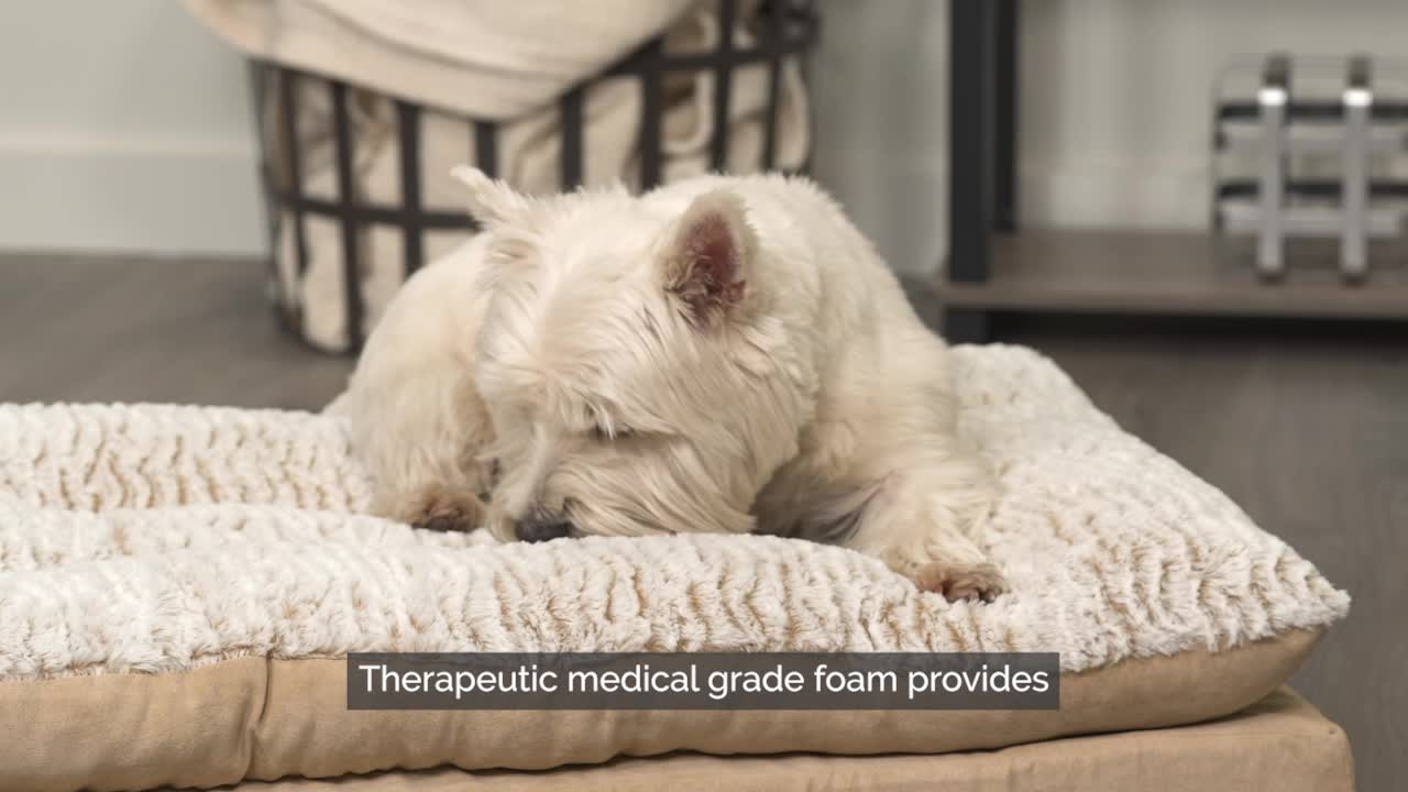 thumbnail video image 2 of FurHaven Pet Products Embossed Faux Fur & Suede Orthopedic Pillow Top Mattress Pet Bed for Dogs & Cats - Taupe, Medium, 2 of 8