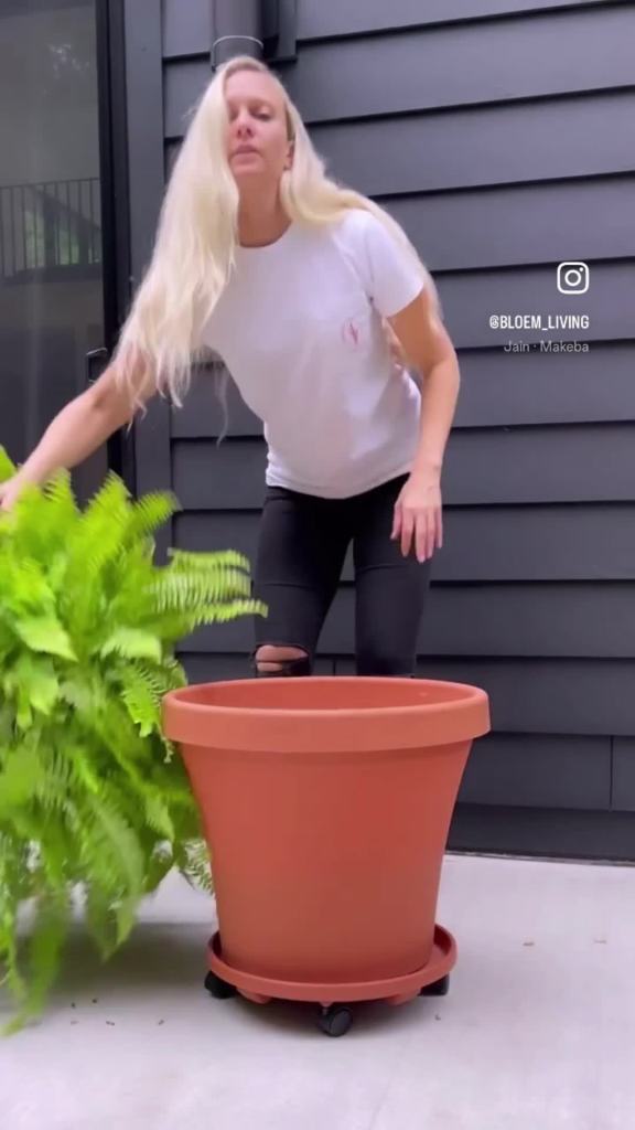 thumbnail video image 2 of Bloem Ups-A-Daisy 14" Round Orange Resin Planter Pot Lift Insert with Drainage Holes, 2 of 11