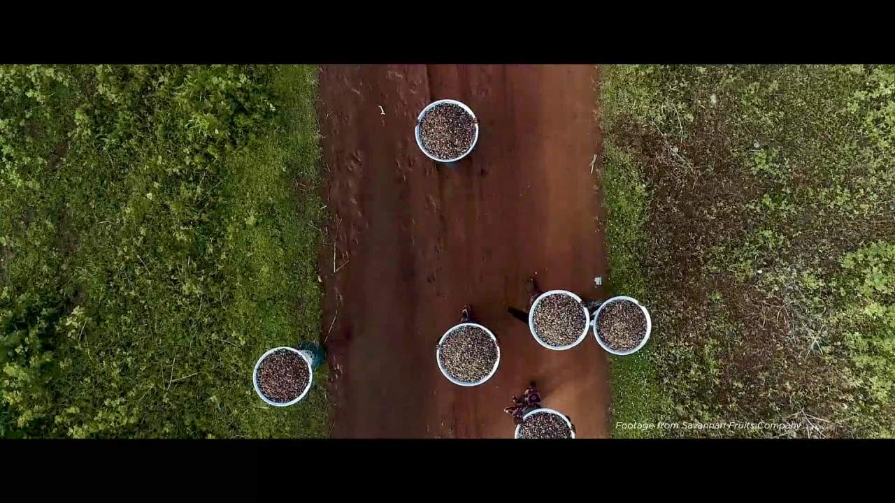 thumbnail video image 2 of Burt's Bees Hydrating Day Lotion for Dry Skin, 1.8 fl oz, 2 of 7