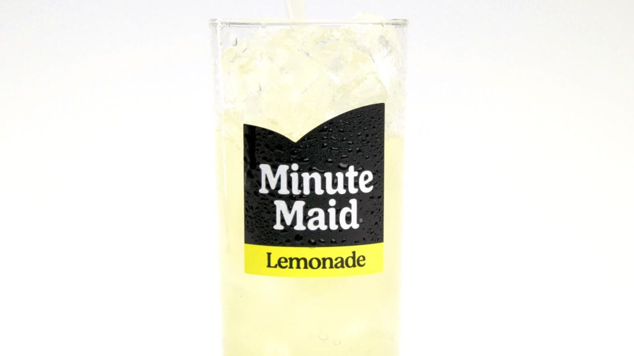 Minute Maid Aguas Frescas Hibiscus Fruit Juice, 16 fl oz Can