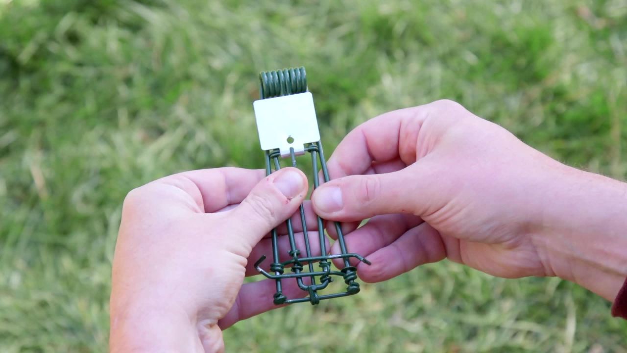 thumbnail video image 2 of Amdro Bait Free, Mole and Gopher Trap, 2 Pack, 2 of 10