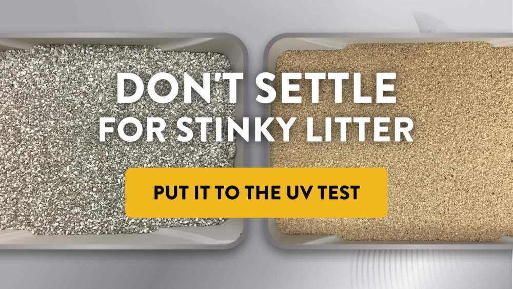 thumbnail video image 2 of ARM & HAMMER Hardball Lightweight Cat Litter, Multi-Cat Clumping Litter, No-Mess Scooping, 7 lb, 2 of 13