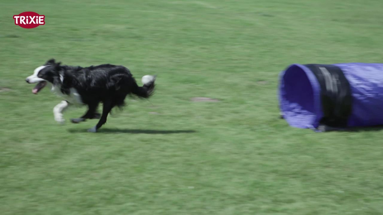 thumbnail video image 2 of TRIXIE Dog Agility Tunnel 6.5', Portable Dog Training Tunnel, Obedience, Exercise Equipment, 2 of 7