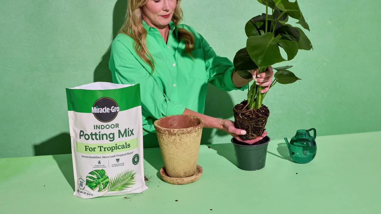 thumbnail video image 3 of Miracle-Gro Indoor Potting Mix for Tropicals, For Indoor Container Plants, 6 qt., 3 of 13