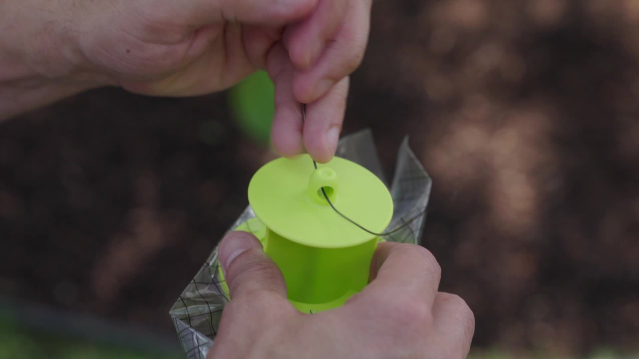 thumbnail video image 2 of RESCUE! Yellow Jacket Disposable Trap, 1 Unit, West of Rockies Mix, 2 of 18