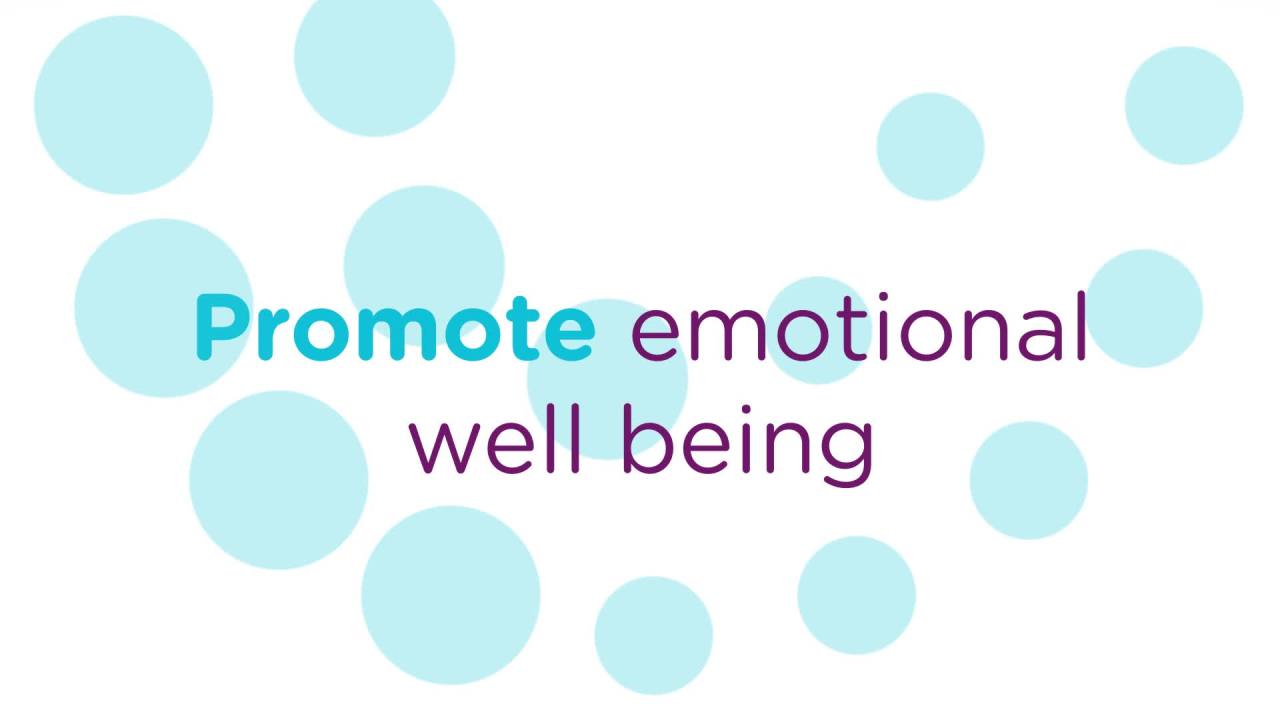 thumbnail video image 2 of Comfort Zone Cat Calming Diffuser Refill, 48 ml-2 Pack, 60 Day Use 2 Pack, 2 of 10